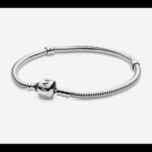 Pandora Charm Bracelet